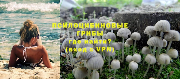 сатива Алзамай