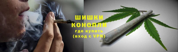сатива Алзамай