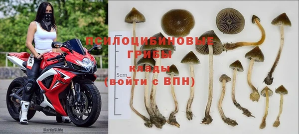 Альфа ПВП Алексин