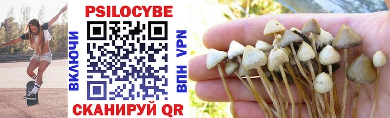 Галлюциногенные грибы MAGIC MUSHROOMS  Изобильный 