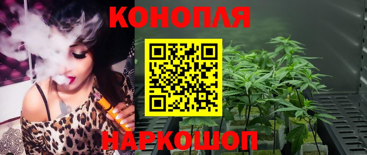 Каннабис OG Kush Изобильный